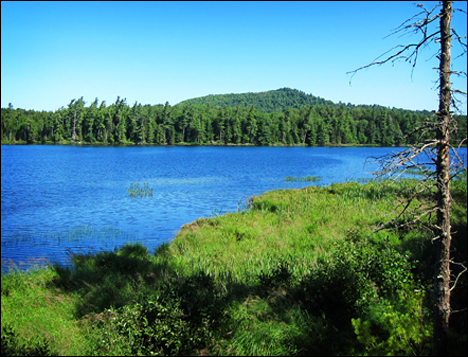 Adirondack Habitats:  Barnum Pond from the Overlook at the Paul Smiths VIC